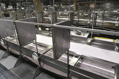 疫情为何在美国肉类加工厂中肆虐